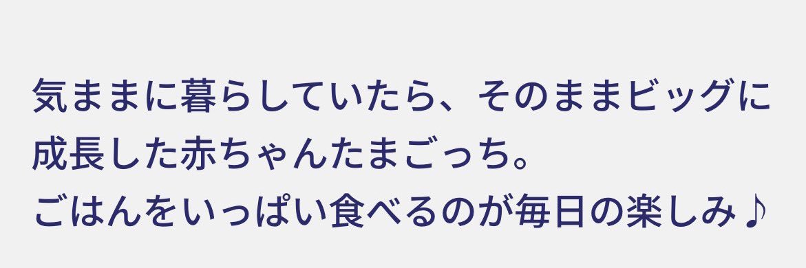 でかべびまるっち's banner