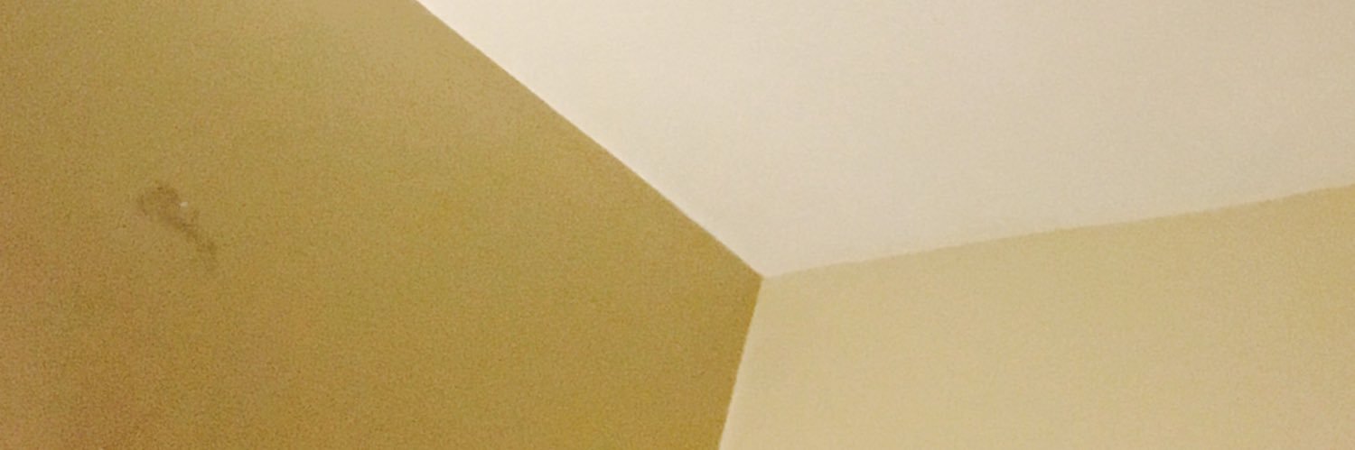 𝐇𝐈𝐑𝐎𝐇𝐈𝐒𝐀 𝐘𝐀𝐍𝐎's banner