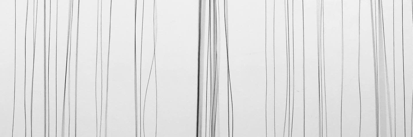 Jonas's banner
