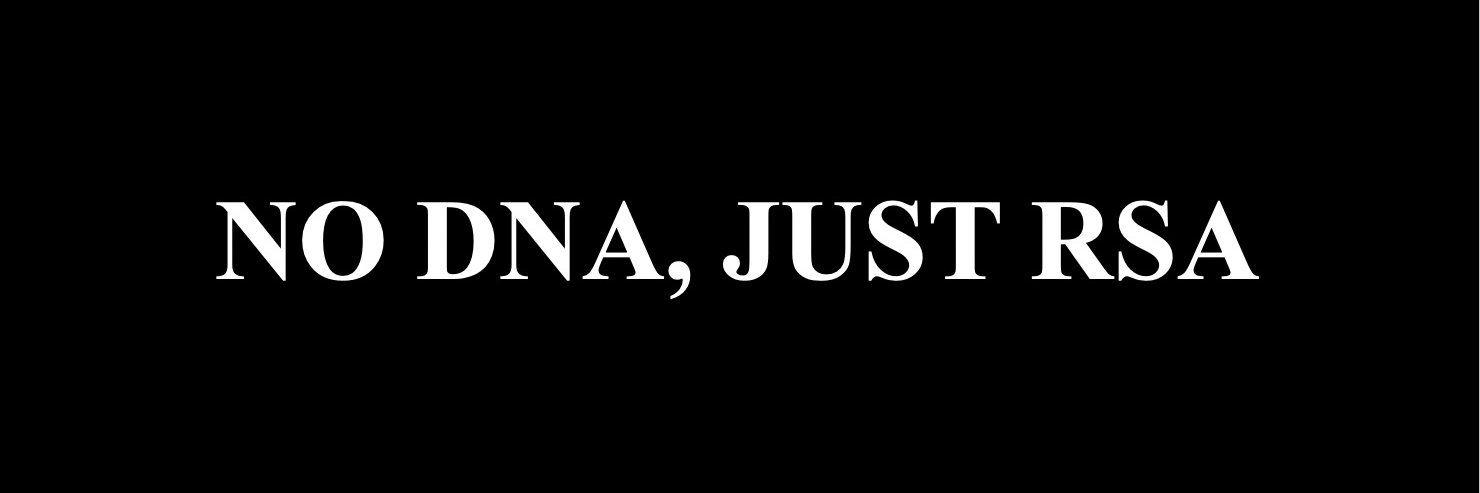 mzansi fo sho 🇿🇦's banner
