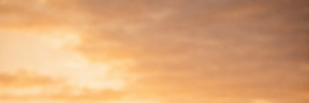 最適な食べ物たち's banner