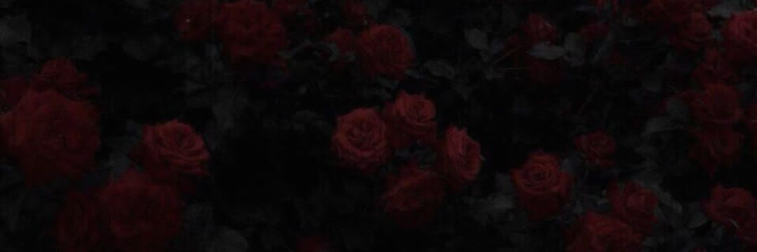 Lamia🥀rest's banner