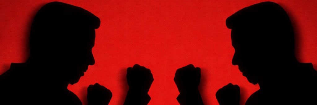 FightsFromTheStreets's banner