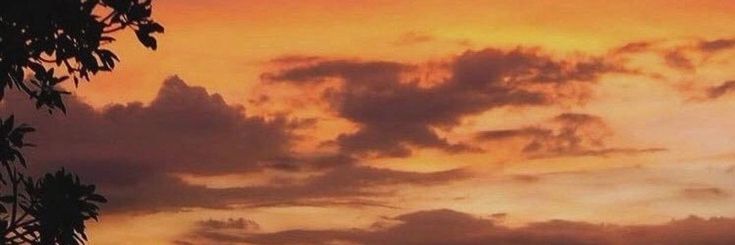 iz ✿'s banner