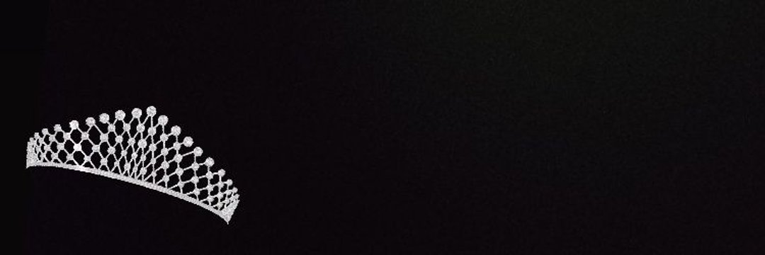 🐦's banner