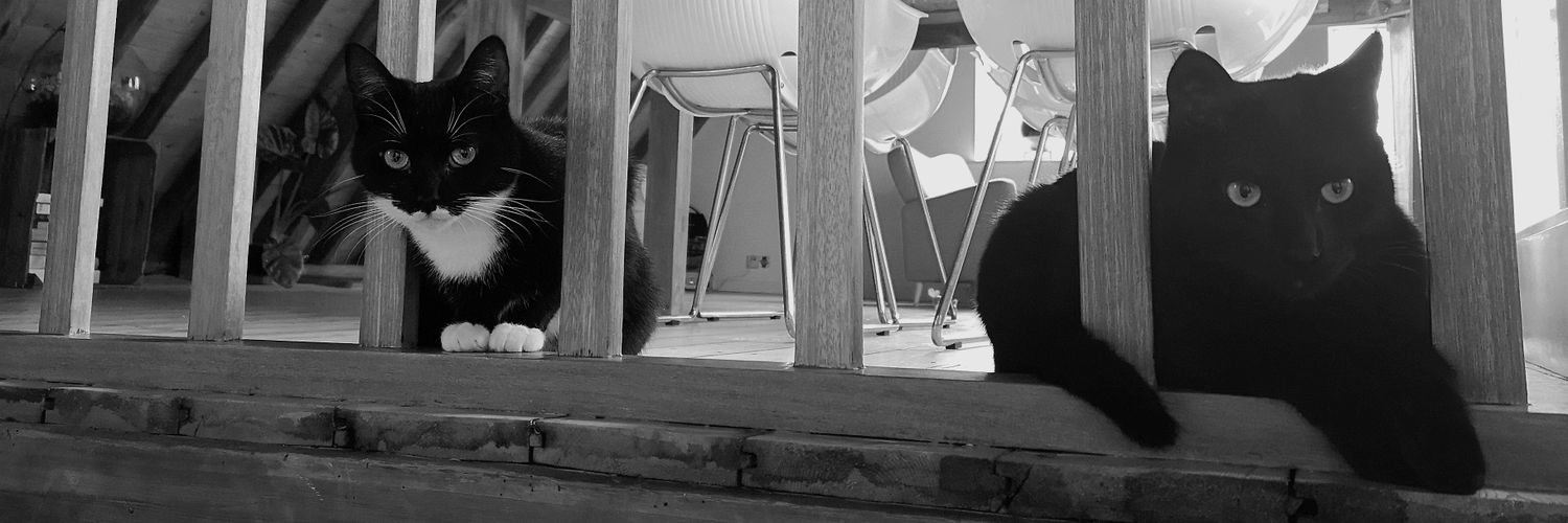 Edgar & Allan🌈 Poes plus Jacob Cat's banner