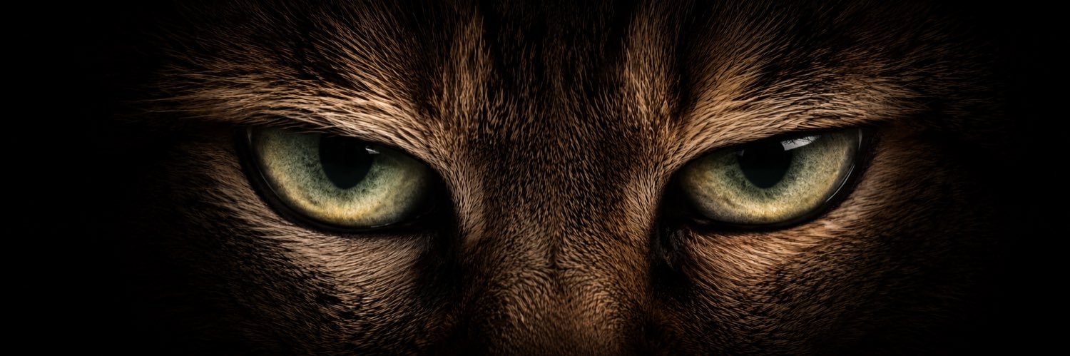 лучик ✨🪩's banner