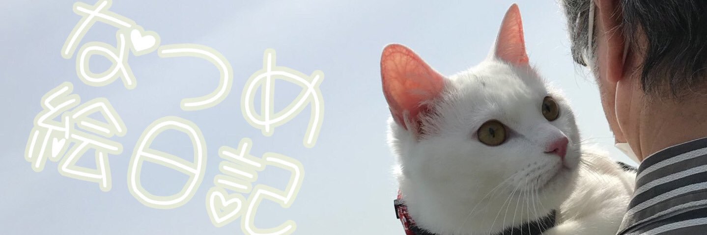 こにゃんこきたにゃん's banner