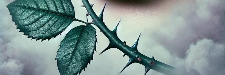 💫D💫U💫Y💫G💫U💫's banner