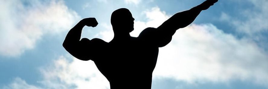 Muscle Gallery's banner
