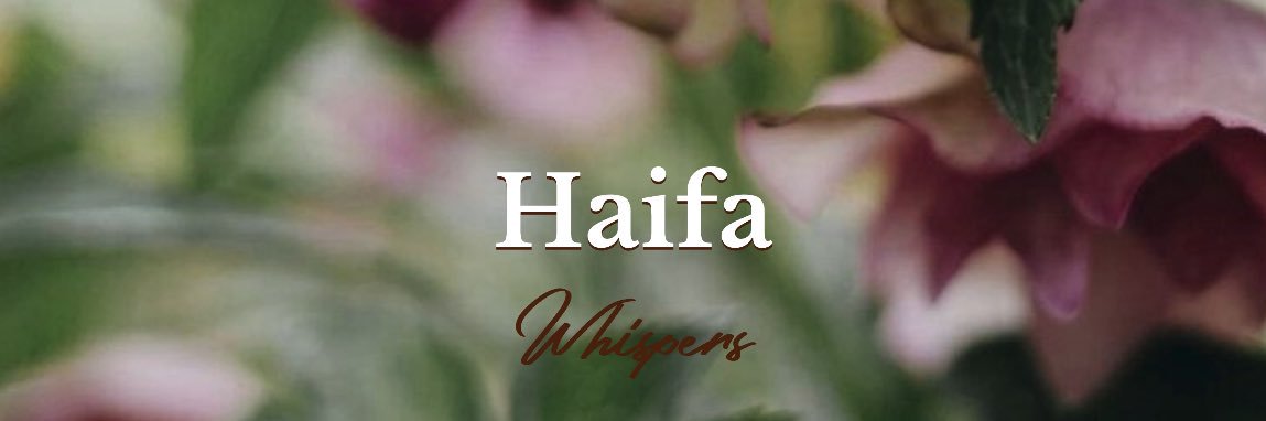 Haifa 🦢🪷's banner