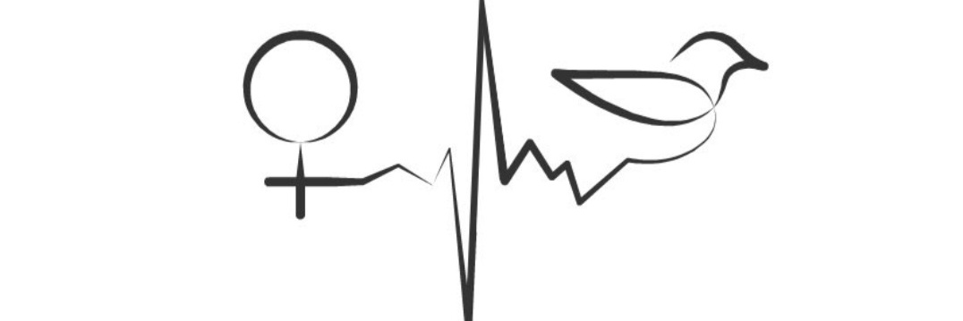 چِدومبه نَدومبه's banner