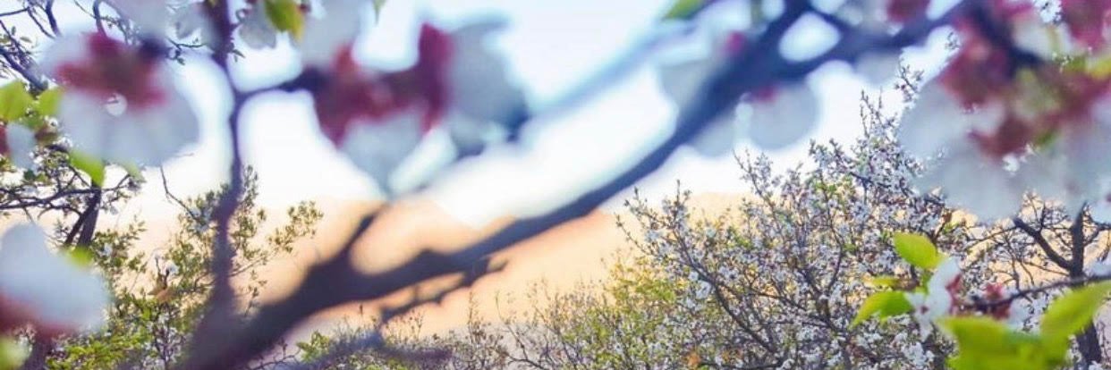غزل البدوية's banner