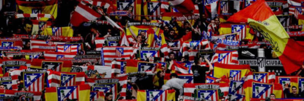 𝐌𝐚𝐫𝐢𝐨 𝐎𝐣𝐞𝐝𝐚's banner