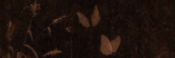 lari's banner