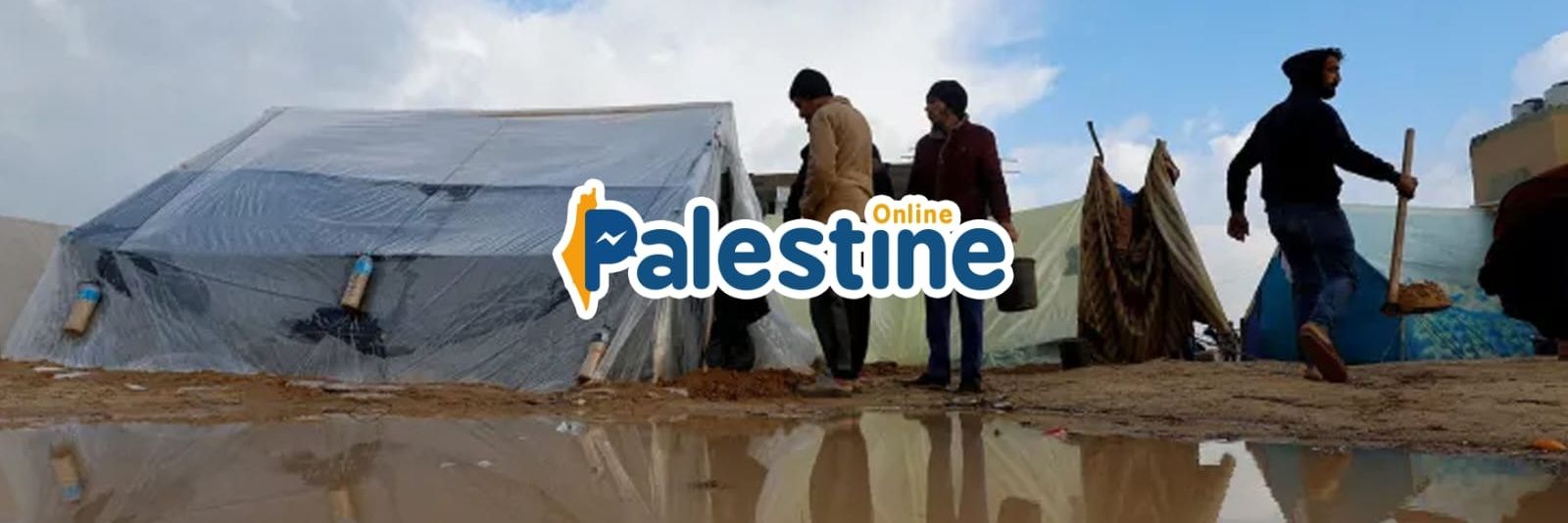 PALESTINE ONLINE 🇵🇸's banner