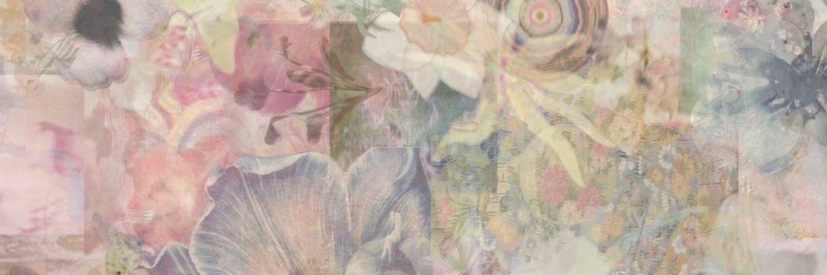 lily 𝜗𝜚's banner
