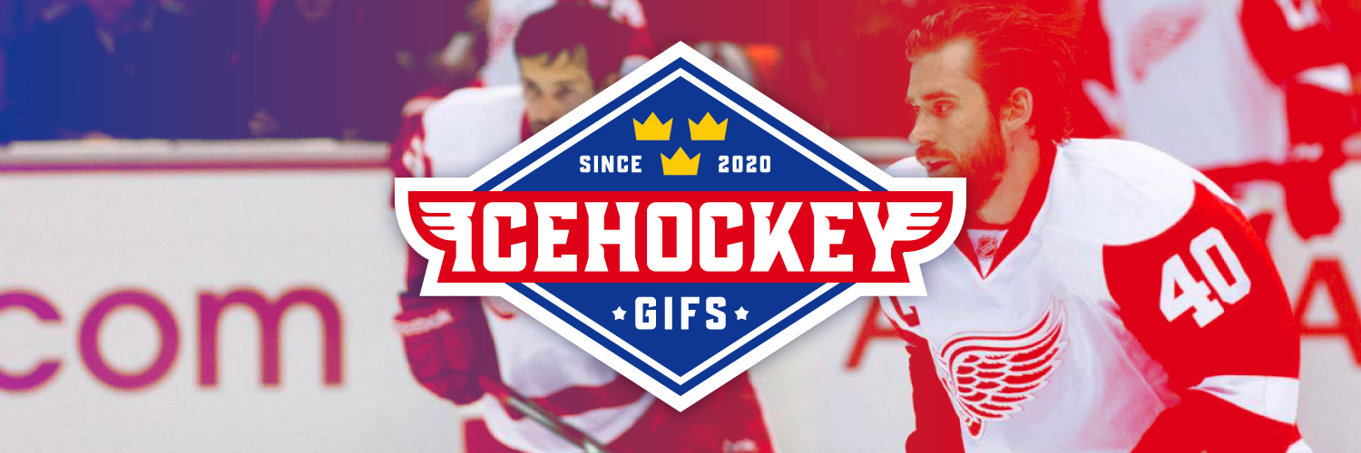 IcehockeyGifs's banner