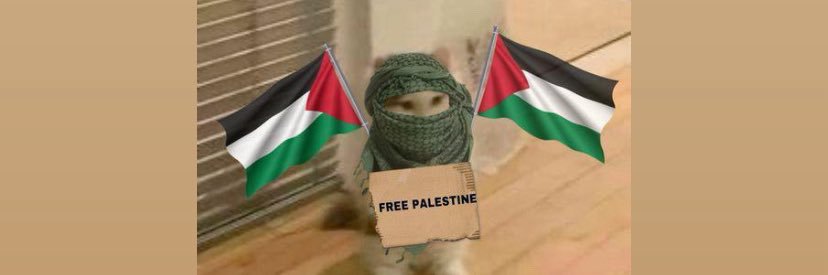ilknur Alataş 🇵🇸's banner