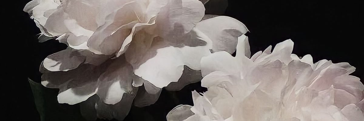 Shae's banner