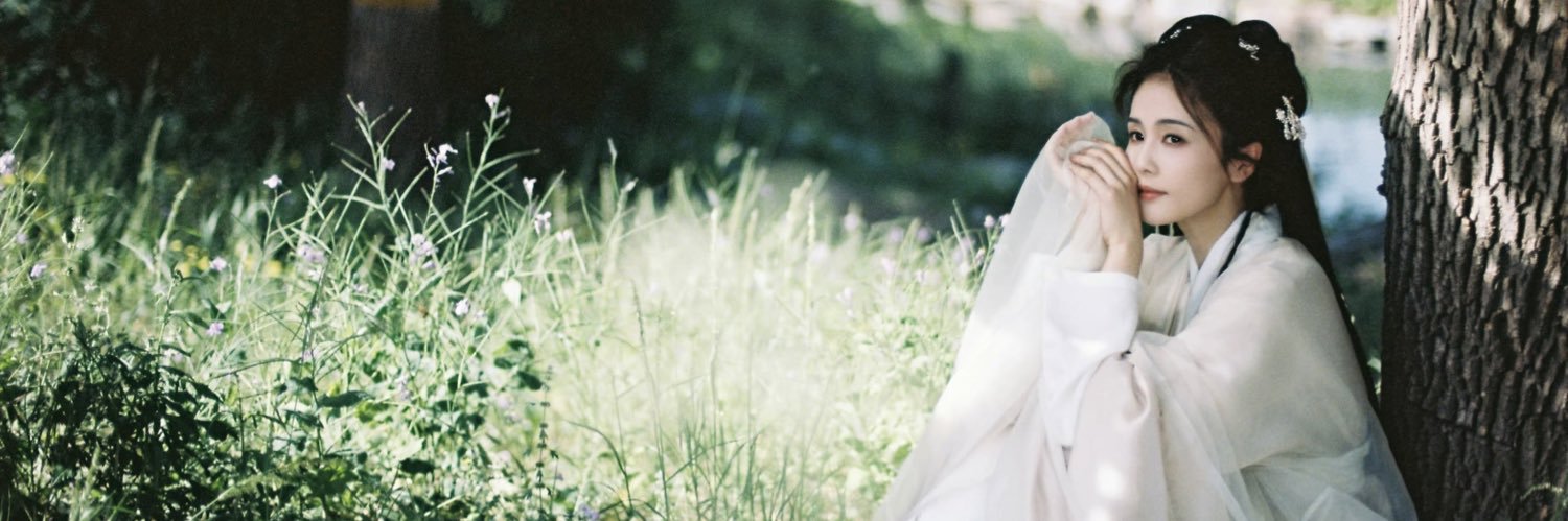 bailu 白鹿's banner