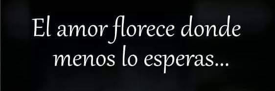 María Inés's banner