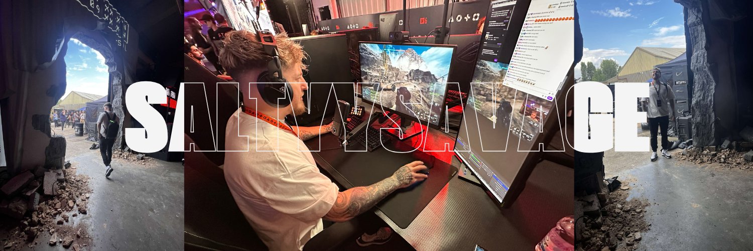 FNATIC Saltyy's banner