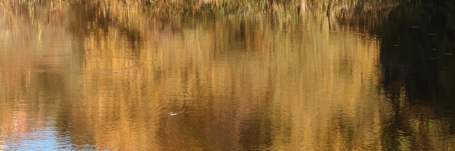 панік ш's banner