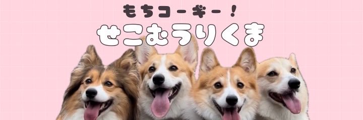もちコーギー！せこむうりくま's banner