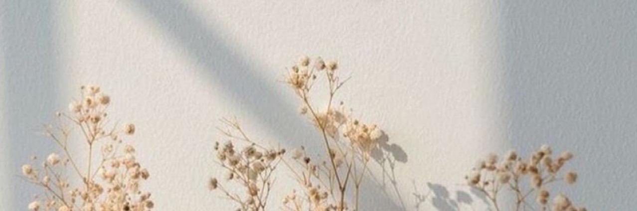 آنِسـة جودّ 🍁.'s banner