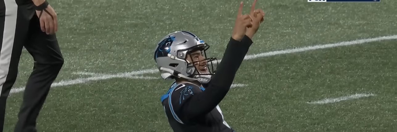 Delusional Panthers Fan 🐈‍⬛'s banner