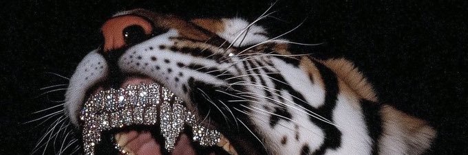 Ayodele 🤪's banner