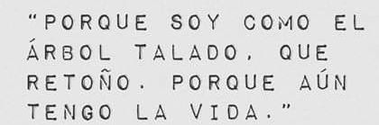 el malahostia's banner