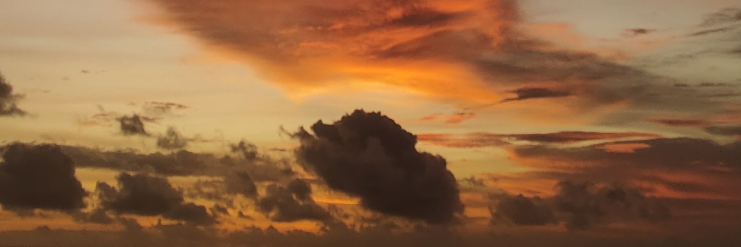 Riky.D.'s banner