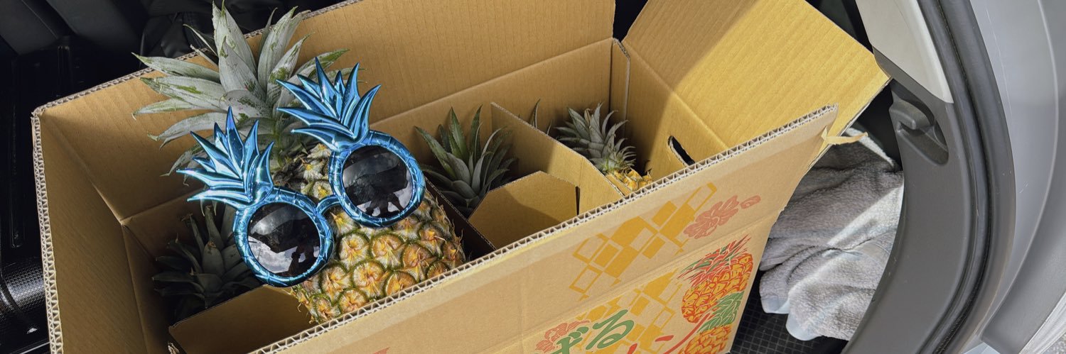 悠Yuu凸🍍6/19-22沖縄's banner