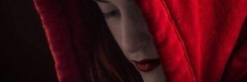 Errante_Lobo's banner