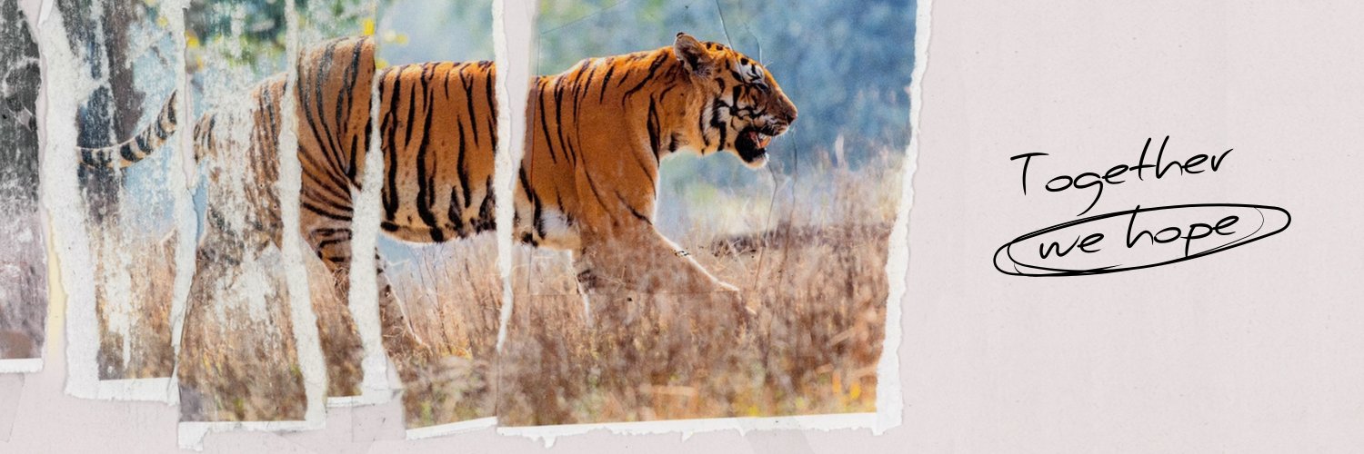 WWF's banner