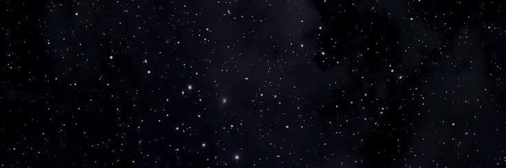 leia's banner