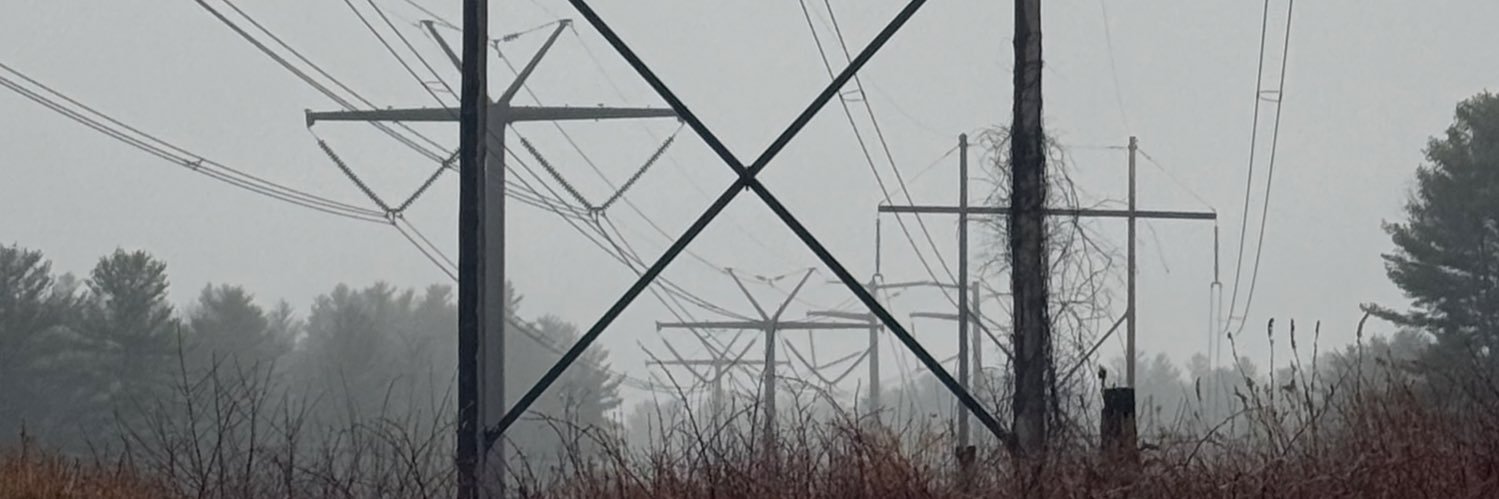 Vee | Rohvee's banner