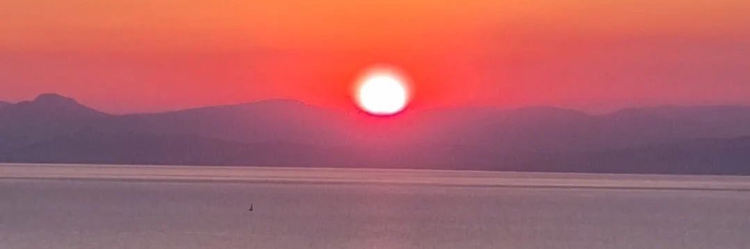 Arabica McFoutre 💦's banner