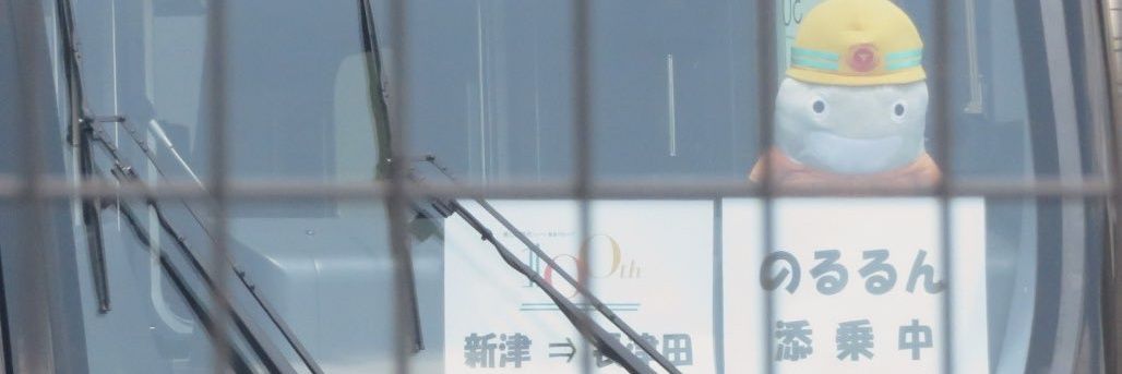 しゃもじ@しゃもぽん🐰🍓's banner