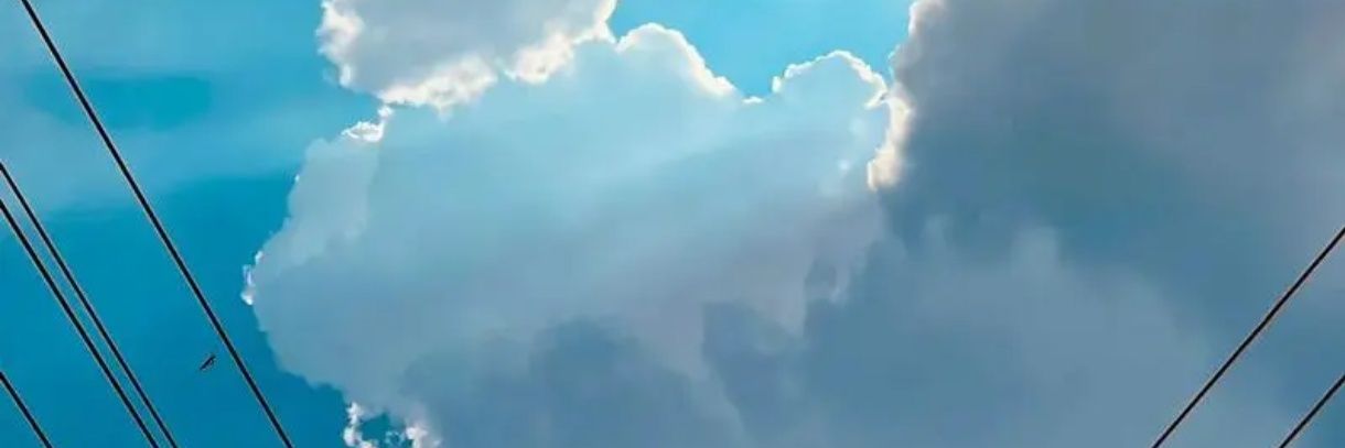 诺诺nono's banner