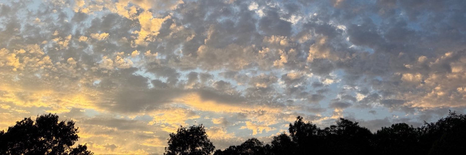247💌's banner