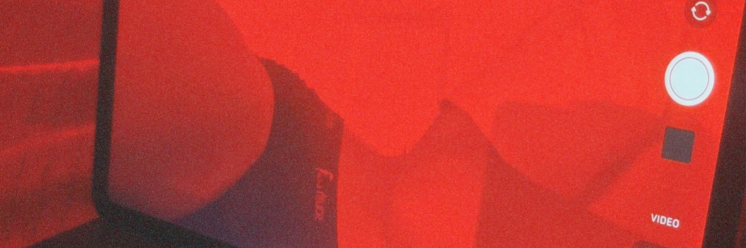 davi's banner