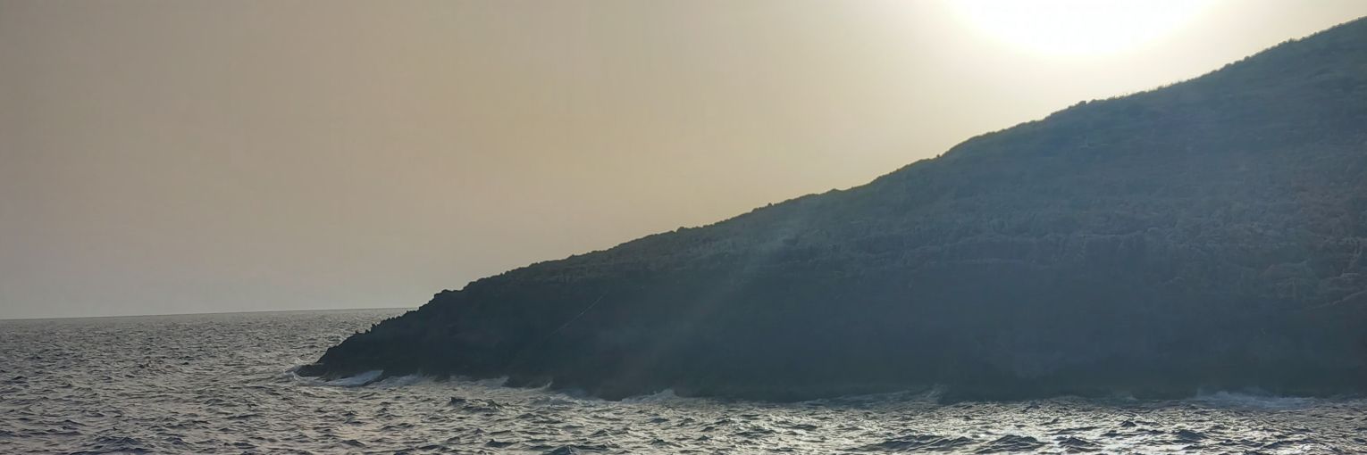 Joan ✨️'s banner