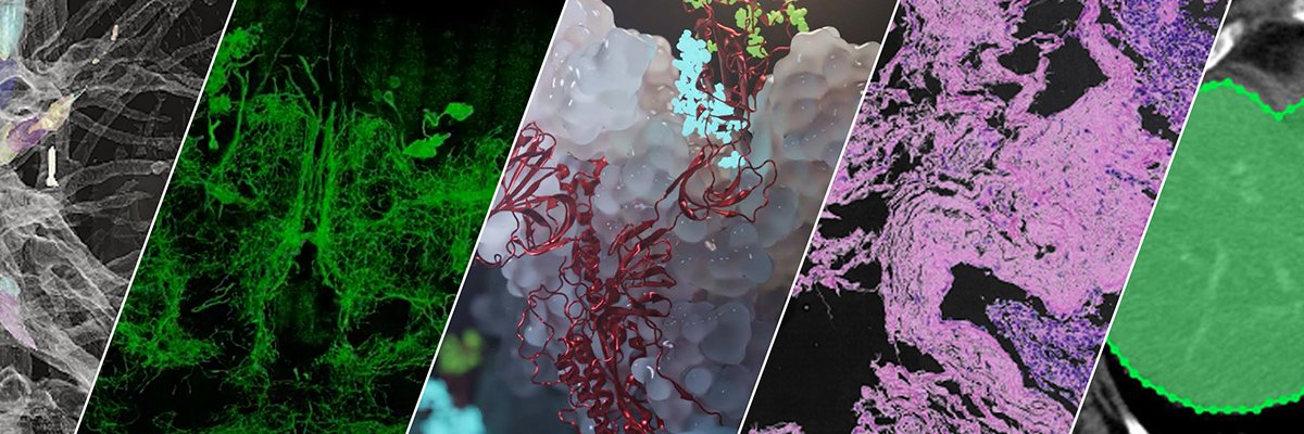 NVIDIA Healthcare's banner