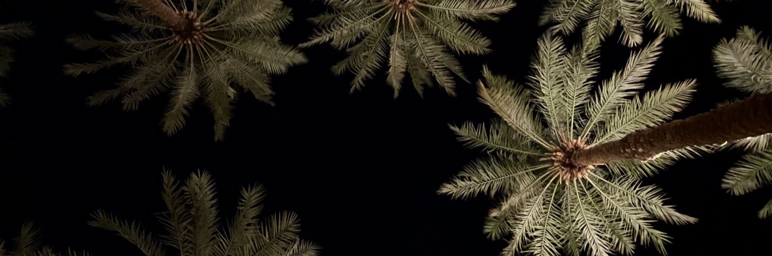قصمان🌴 | كود نمشي Qsmnj's banner
