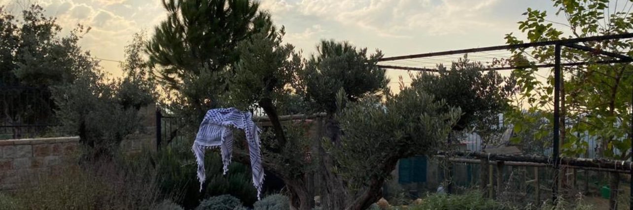 Darine Dandachly دارين دندشلي's banner