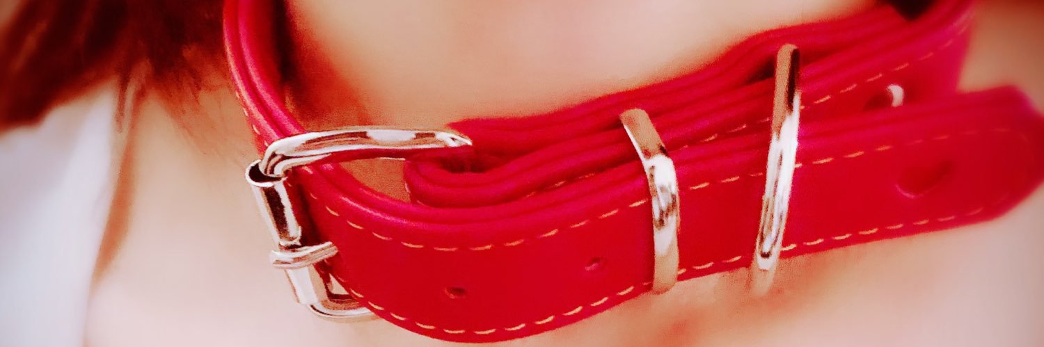 蒼猫2nd's banner