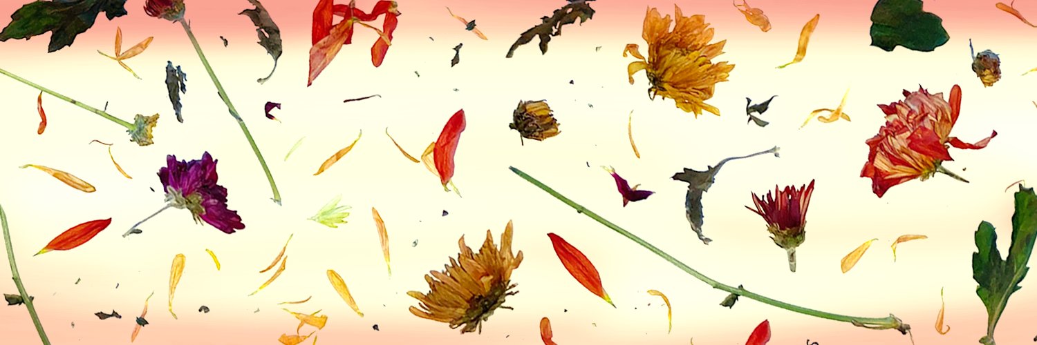 leastfavorite!'s banner